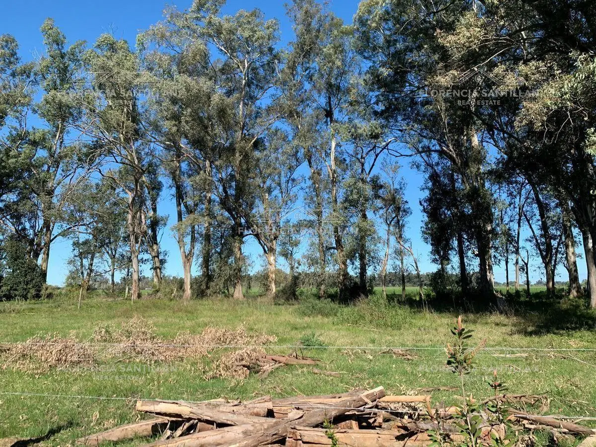 Terreno en Venta ubicado en Brandsen, G.B.A. Zona Sur 2