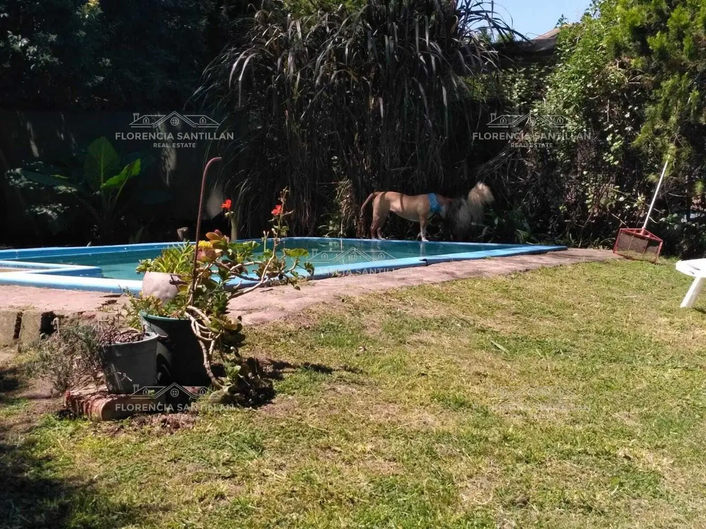 Casa Quinta 3 ambientes con cochera en Venta en Brandsen, G.B.A. Zona Sur, Argentina 5