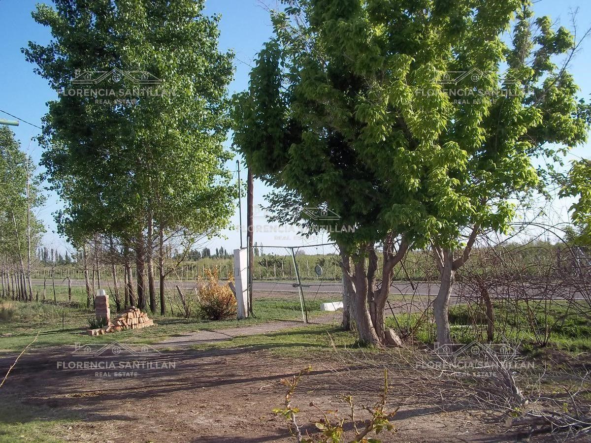 Foto de Casa Campo en Venta ubicado en San Rafael, Mendoza, Argentina, imagen 4