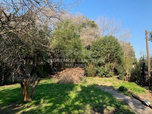 Foto de Local en Venta ubicado en San Vicente, G.B.A. Zona Sur, Argentina, imagen 4