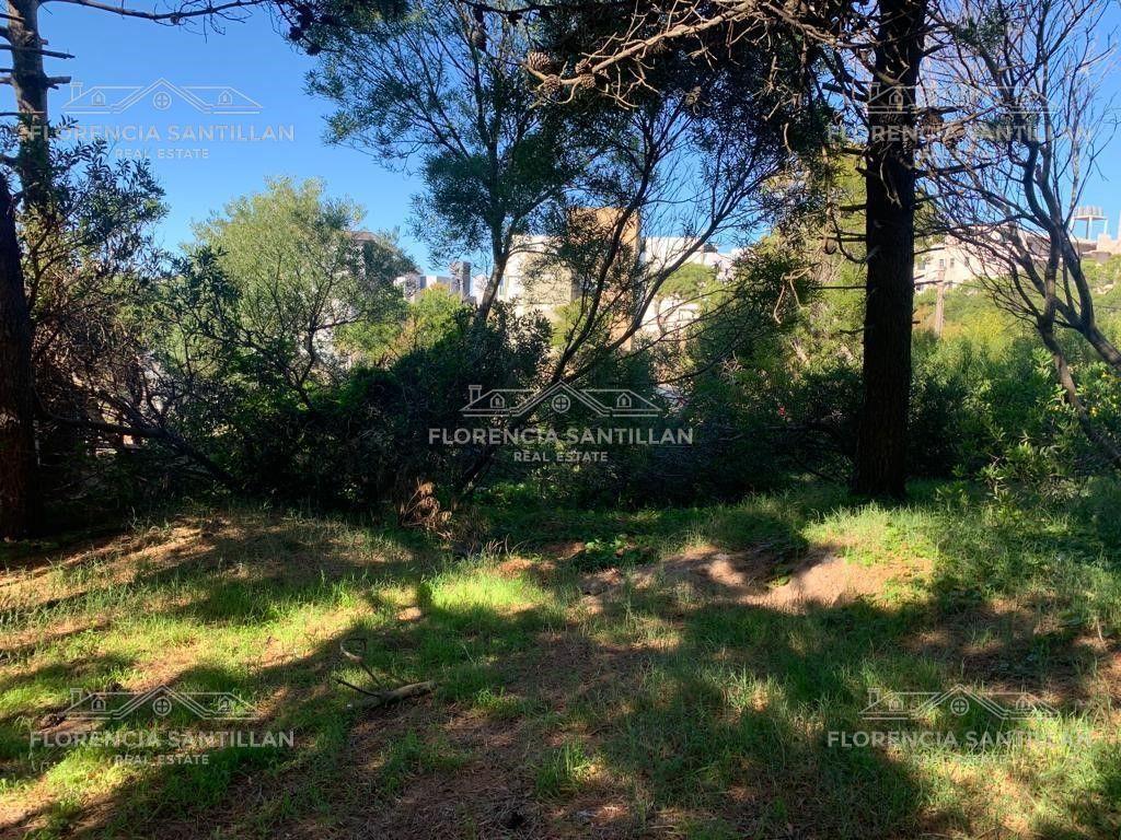 Foto de Terreno en Venta ubicado en Villa Gesell, Costa Atlántica, Buenos Aires, imagen 2