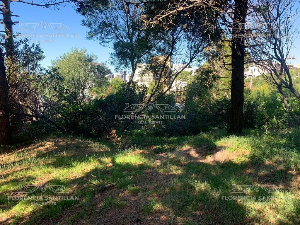Foto de Terreno en Venta ubicado en Villa Gesell, Costa Atlántica, Buenos Aires, imagen 5