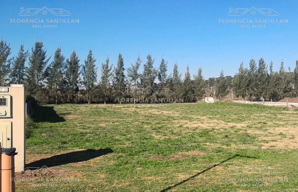 Foto de Terreno Lote en Venta en Virrey del Pino, La Matanza, G.B.A. Zona Oeste, imagen 3