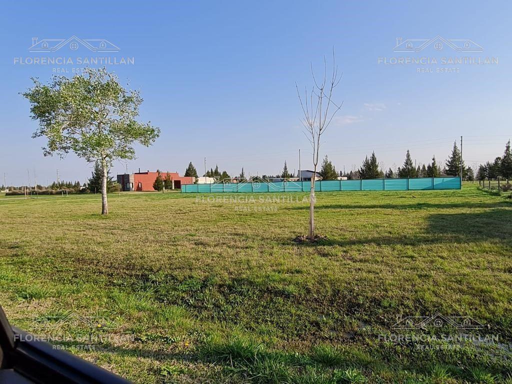 Terreno Lote  en Venta en Chacras Fincas de San Vicente, San Vicente, G.B.A. Zona Sur