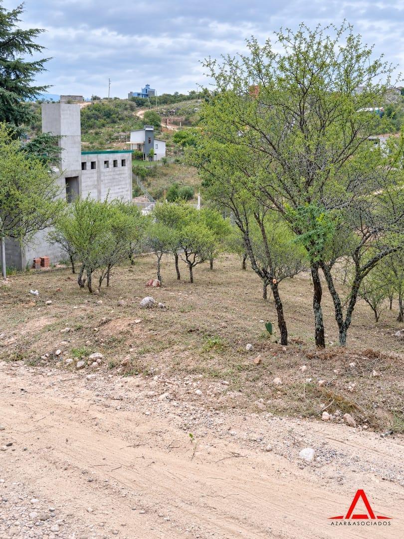 Foto de Lote de 790 m² en venta en Estancia Vieja, imagen 4