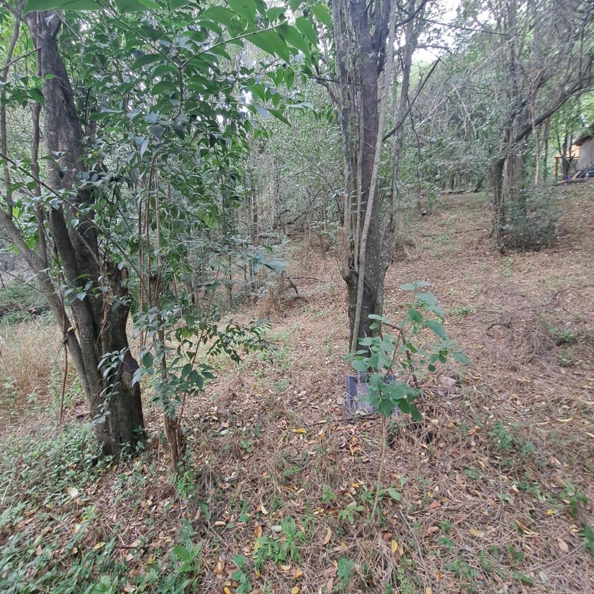 Foto de Se vende lote 1.200m2 en Salsipuedes, CON ESCRITURA!, imagen 2