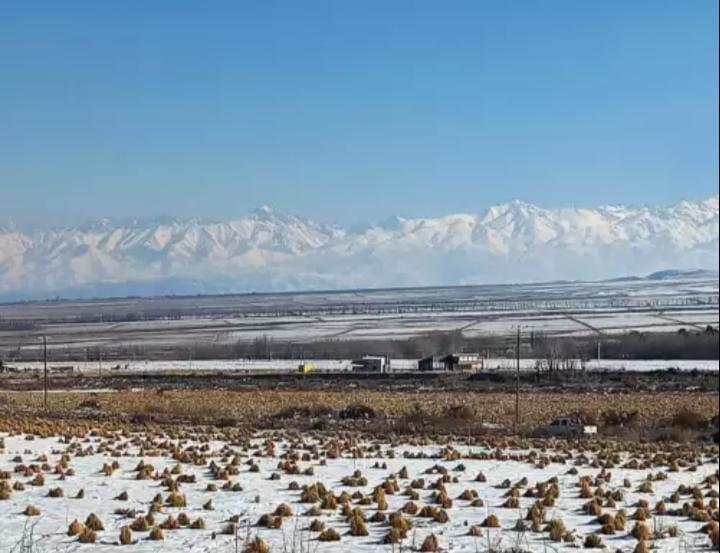 Venta Lotes Posesion Inmediata Tupungato 1