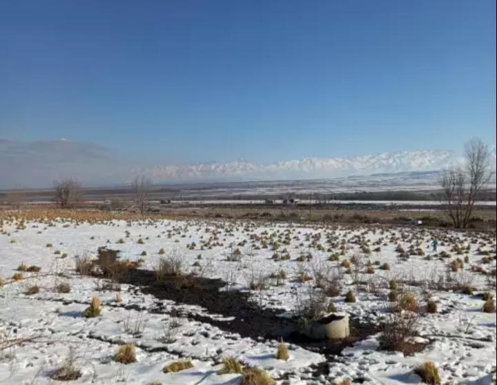 Venta Lotes Posesion Inmediata Tupungato 5