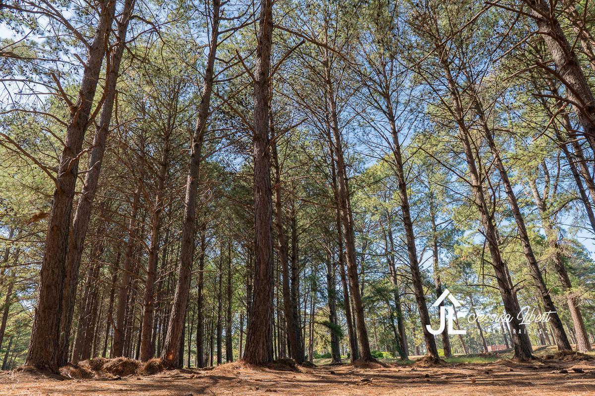 Oportunidad Terreno E1 en zona de Pinos en el barrio Pinares Country Club