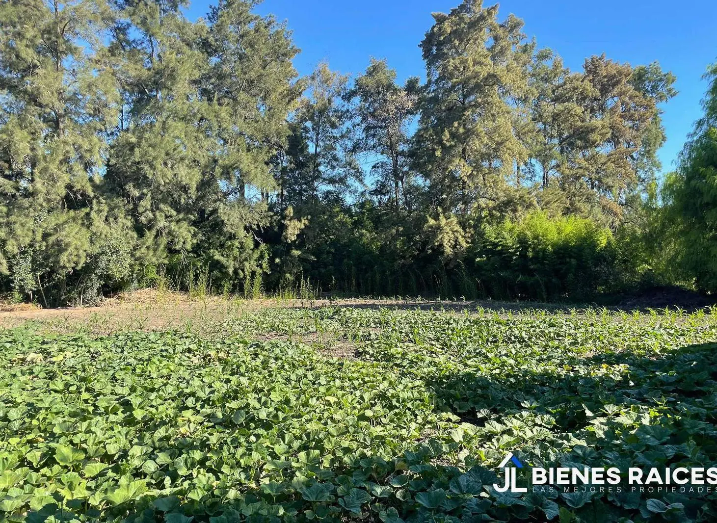 Terreno en venta en Los Cardales 5