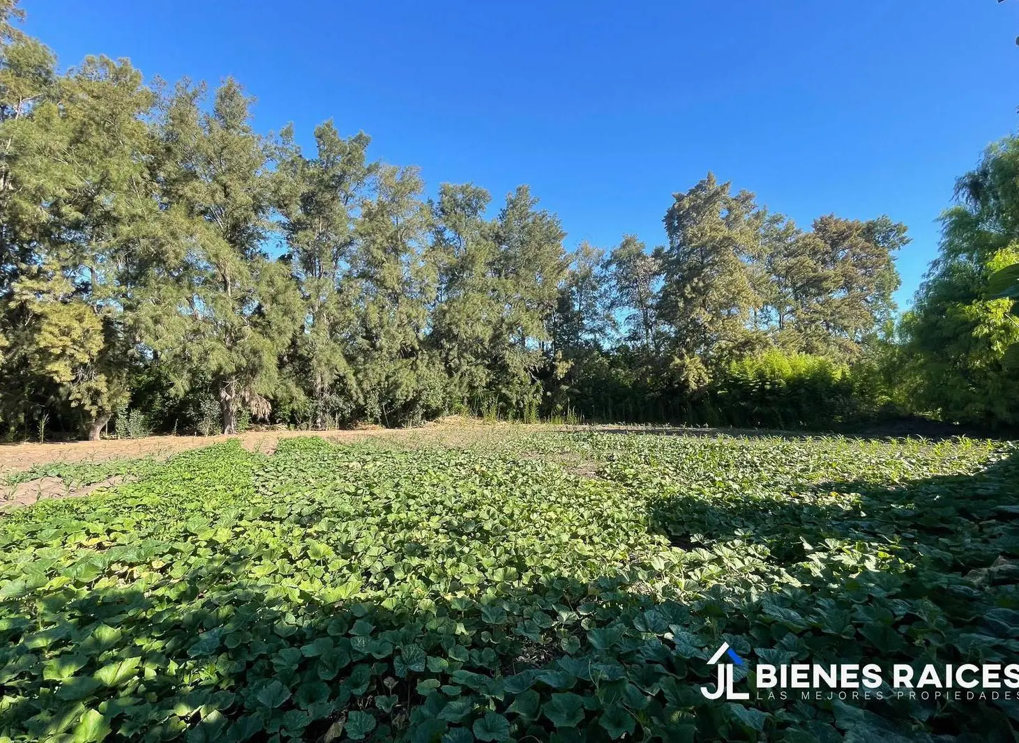 Terreno en venta en Los Cardales 3