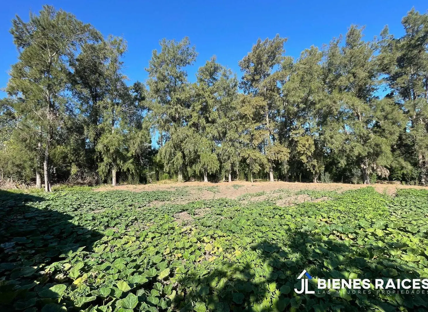 Terreno en venta en Los Cardales 4