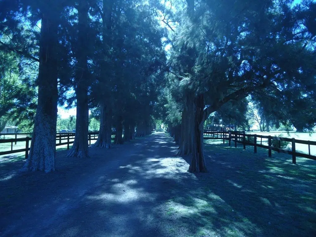 Lote en venta en Haras El Malacate, próximo al acceso y con proyecto de obra aprobado 8
