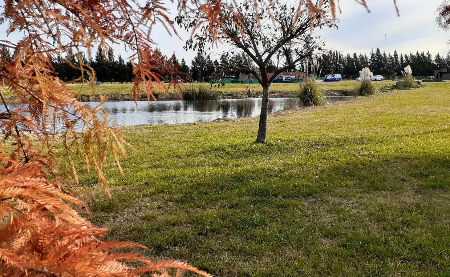 Foto de Venta lote interno en el Barrio Cerrado Las Calandrias Cardales, imagen 3