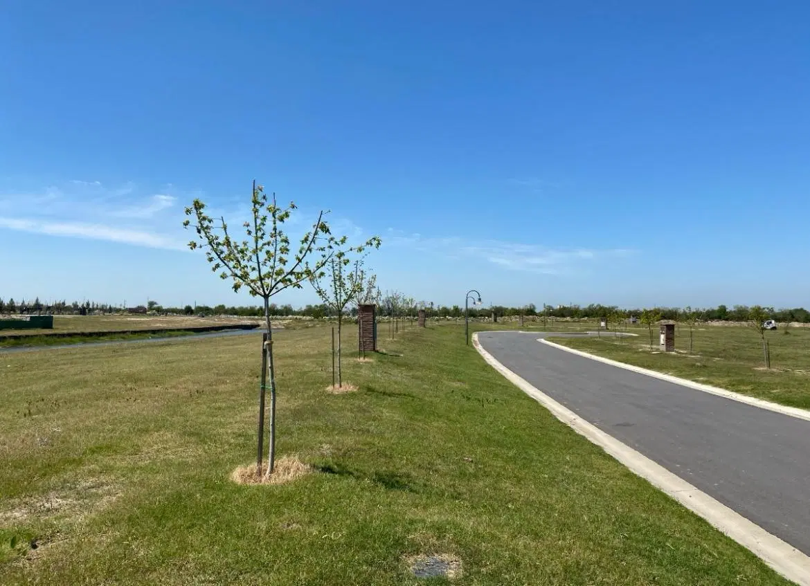 Venta Lote al río 905 M2 con Amarra barrio El Naudir Escobar 4