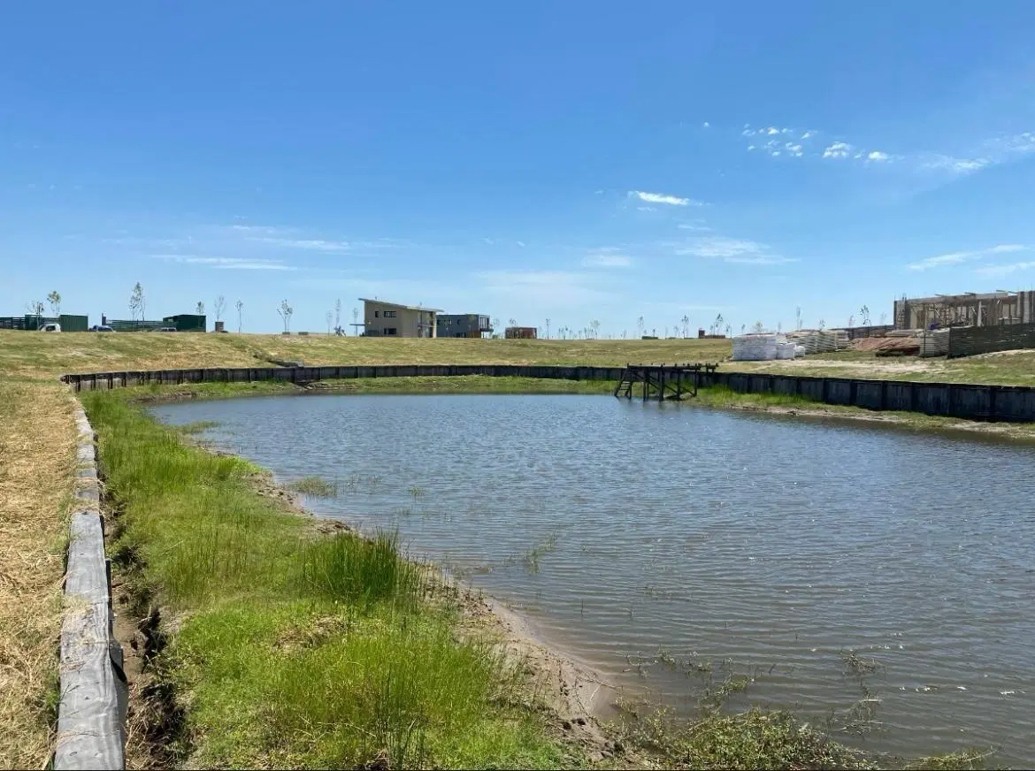 Venta Lote al río 905 M2 con Amarra barrio El Naudir Escobar 5