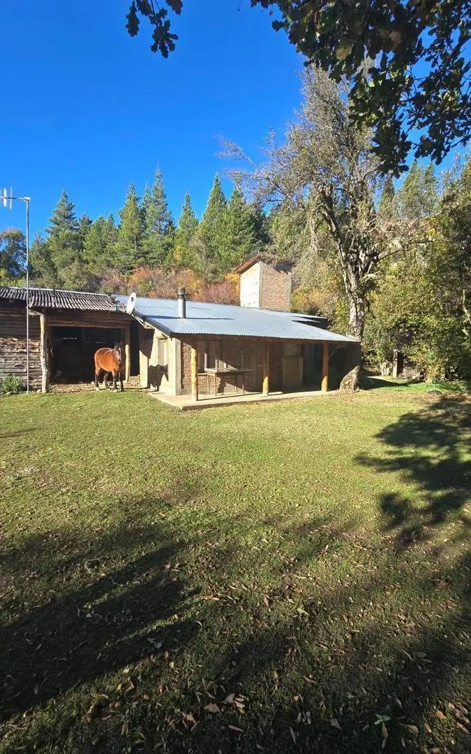 Venta Chacra 7.5 Ha sobre Ruta 40 en El Bolsón - Apto Loteo Cultivo Turismo - FINANCIACIÓN 4