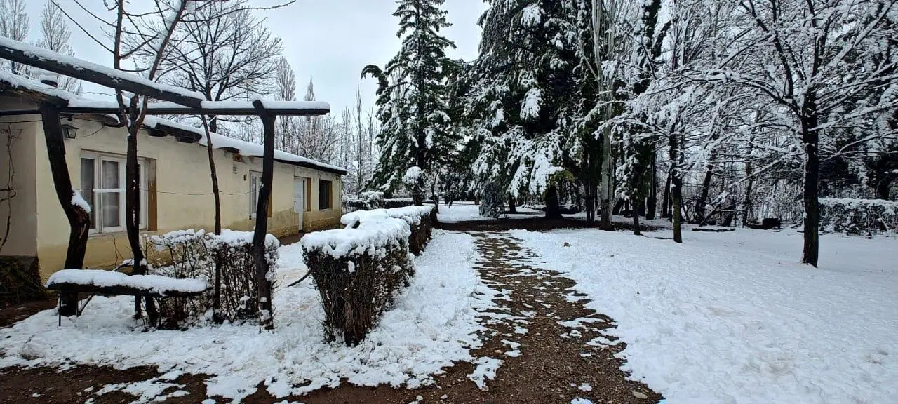 Venta Casa 5 Amb en Malargue Mendoza Camino al Dique 2