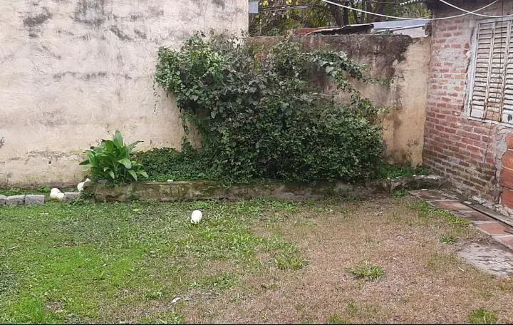 Venta Casa 3 amb. en Campana Zona Norte 3