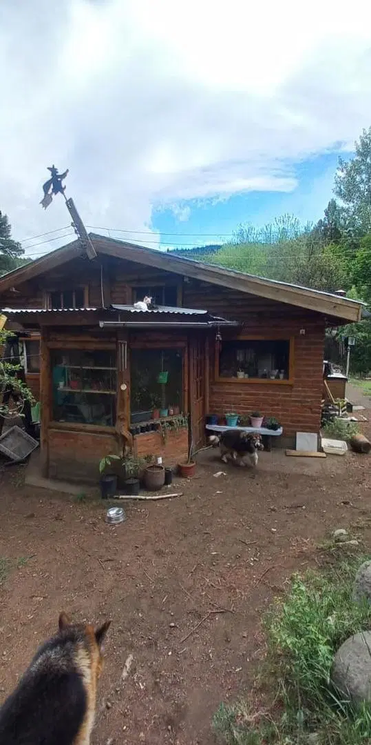 Venta Chacra 7.5 Ha sobre Ruta 40 en El Bolsón - Apto Loteo Cultivo Turismo - FINANCIACIÓN 4