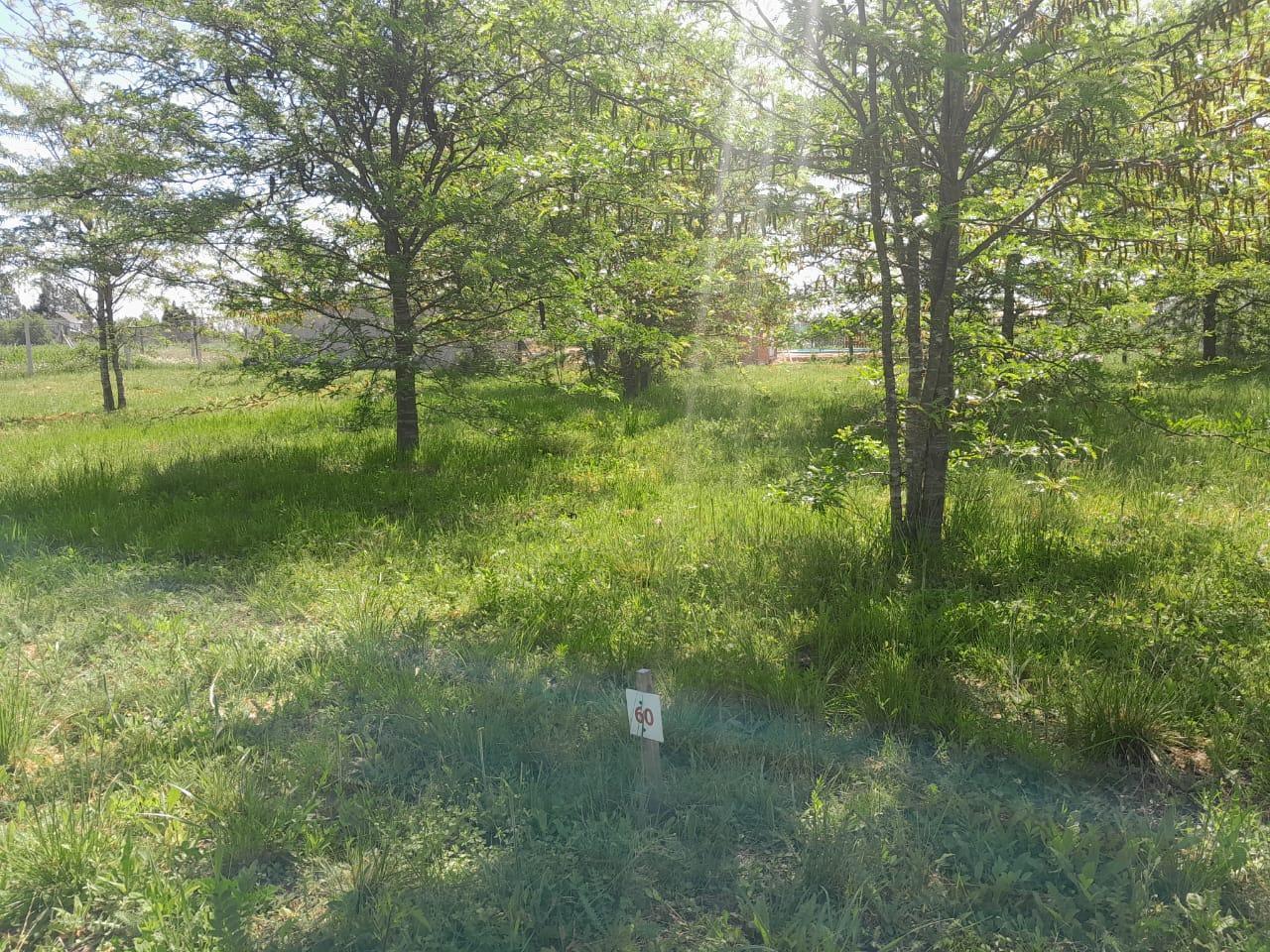 Foto de Venta Lote en Barrio Semicerrado SIN EXPENSAS Las Acacias Pontevedra, imagen 1