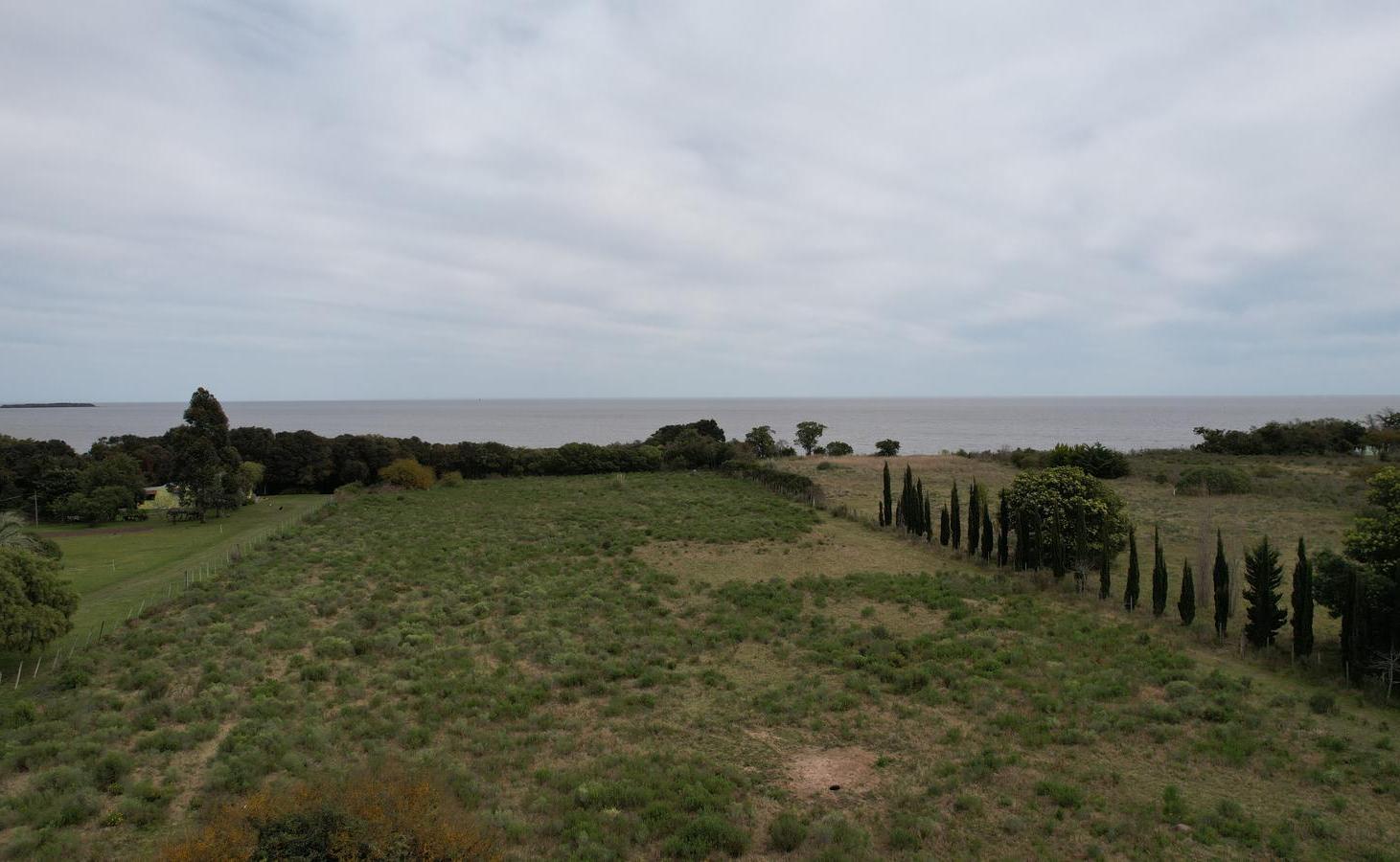 Foto de Chacra de 1 ha. con costa sobre el Río de la Plata (Colonia), imagen 2