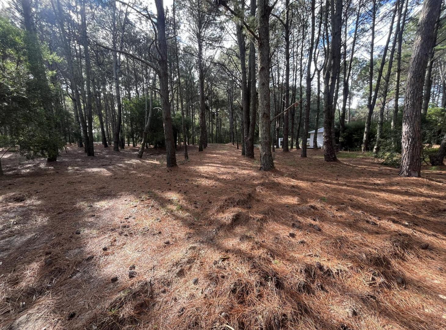 Foto de Terreno en El Faro - Carmelo, imagen 5