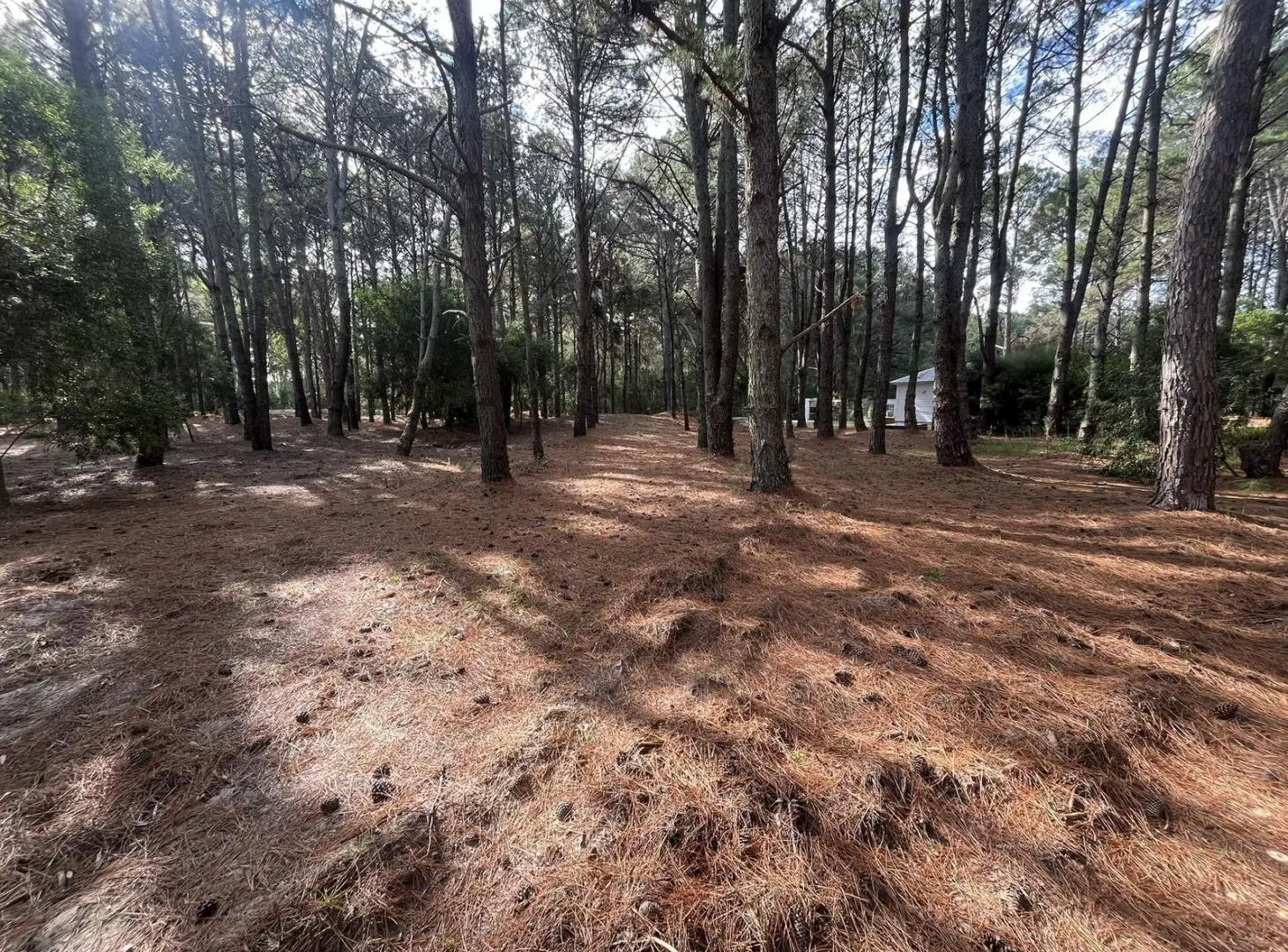 Terreno en  El Faro - Carmelo 5
