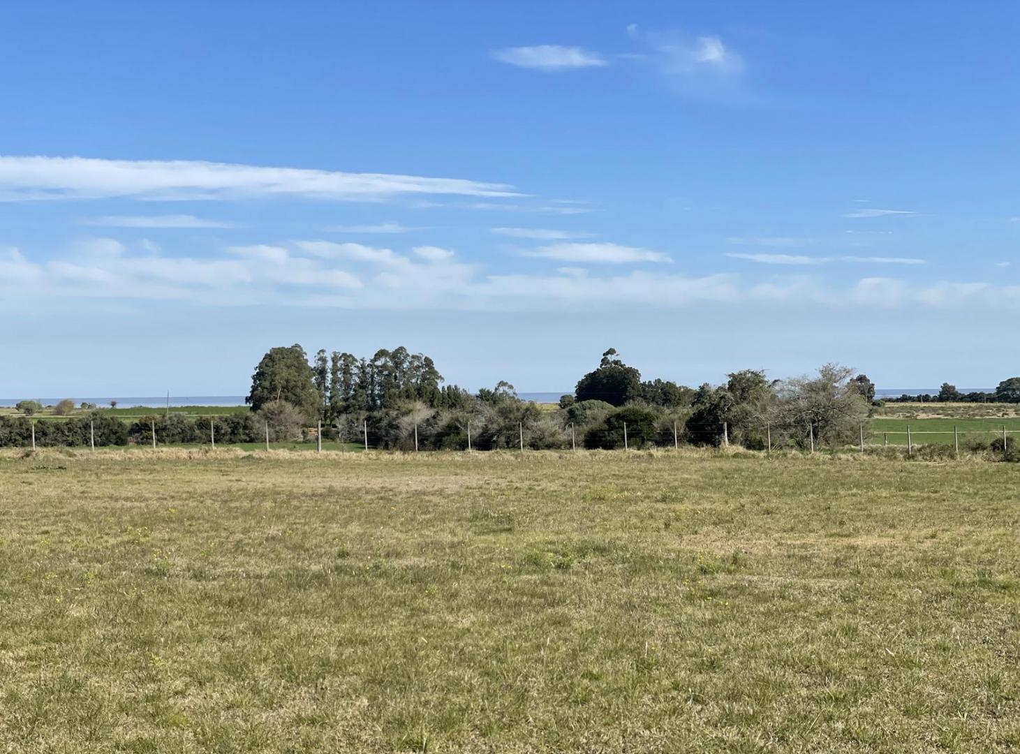 Foto de Hermosa chacra(6,7 has) con vista al Rio de la Plata, imagen 5