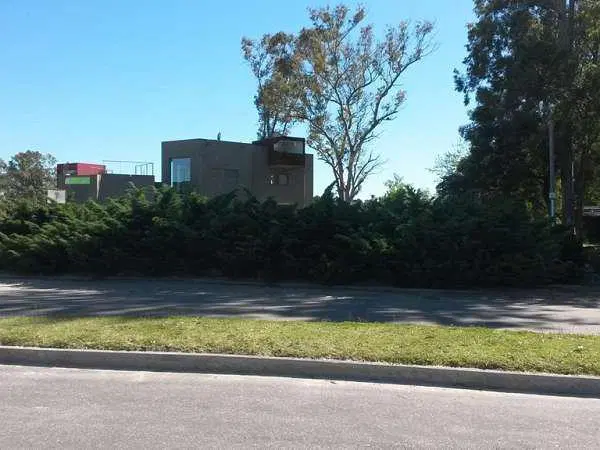Real de San Carlos Village & Golf Lote 114 5