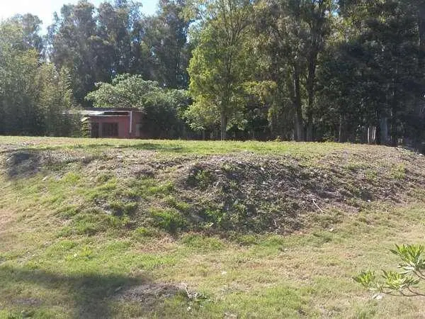 Real de San Carlos Village & Golf Lote 114 4