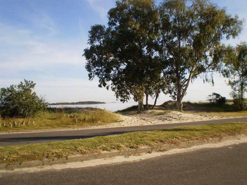 Real de San Carlos Village 3