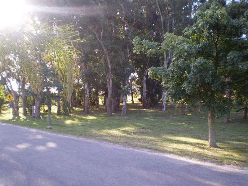 Real de San Carlos Village 2