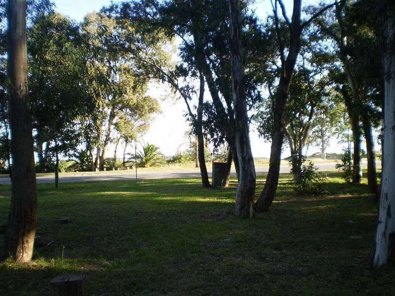 Real de San Carlos Village 4
