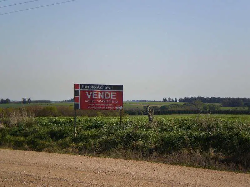 1 - Tula Suarez de Cutinella - San Pedro Lote 03 2