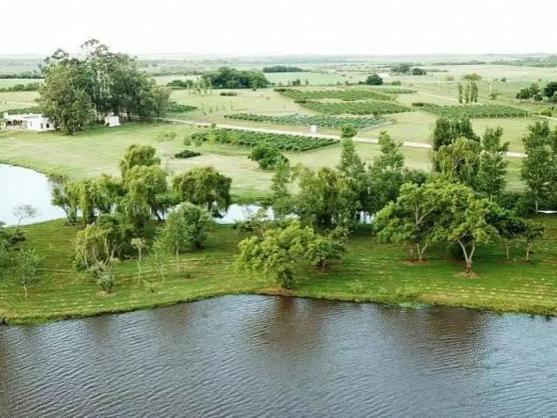 La Concordia - Carmelo   Lote 32 4