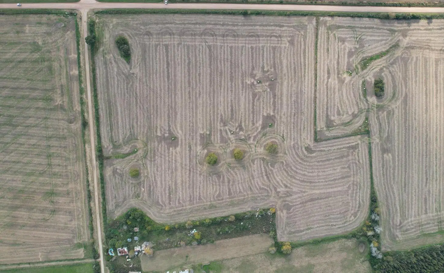 Campo productivo de 8.5 hect en Colonia 5