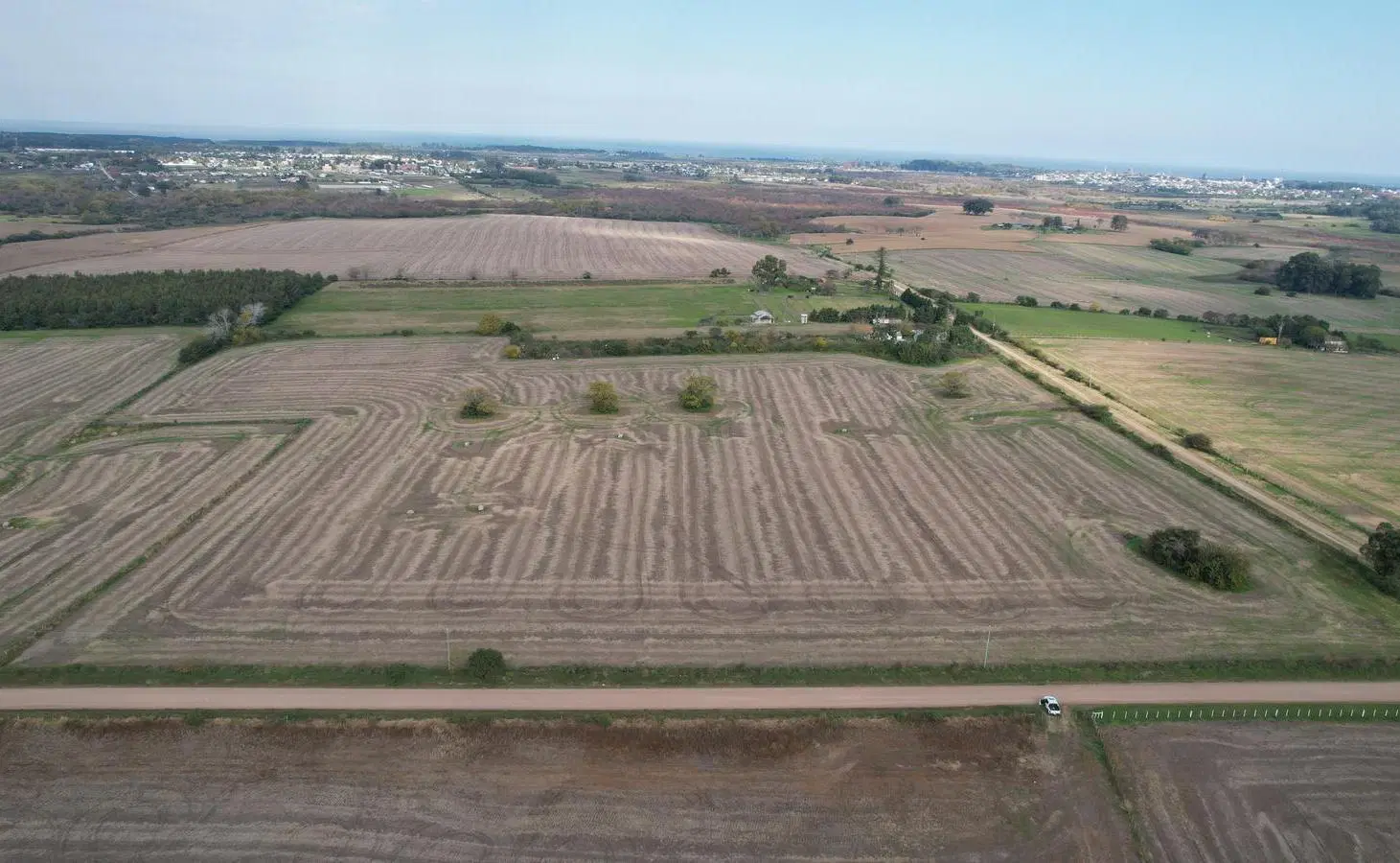 Campo productivo de 8.5 hect en Colonia 3