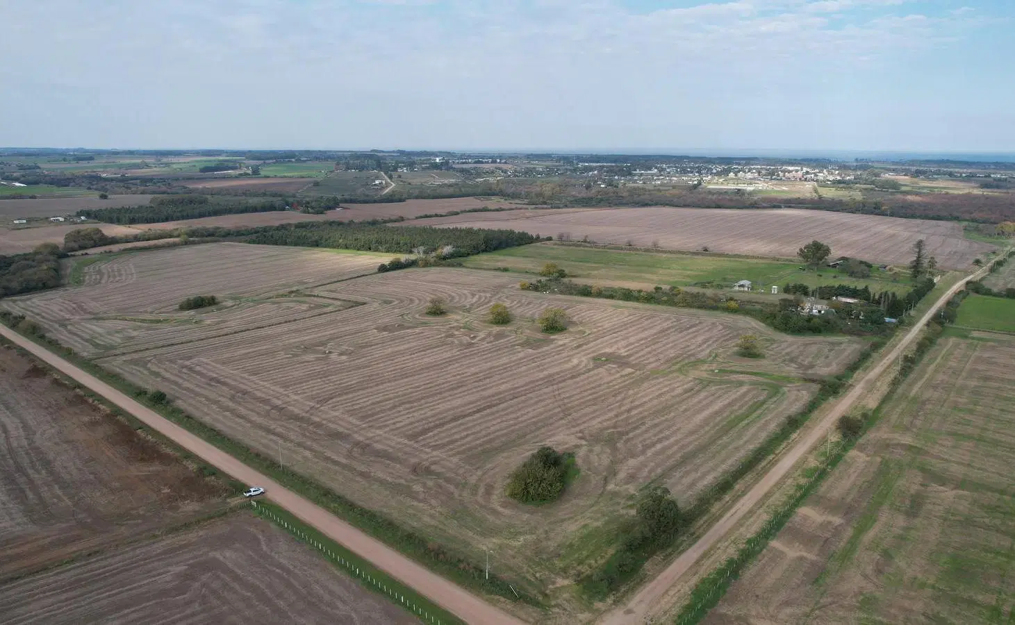 Campo productivo de 8.5 hect en Colonia 2