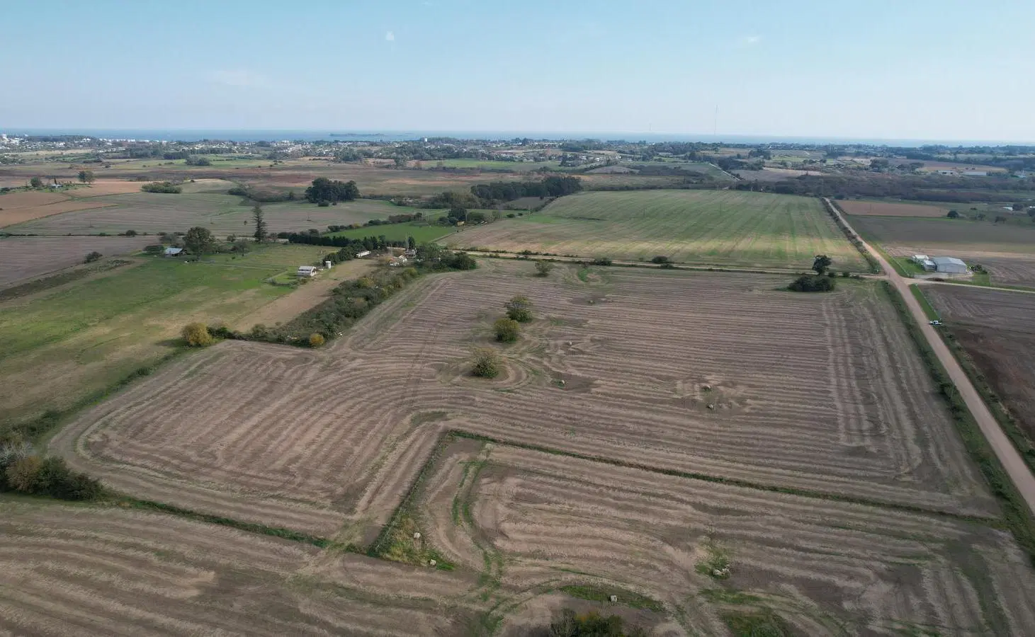 Campo productivo de 8.5 hect en Colonia 4
