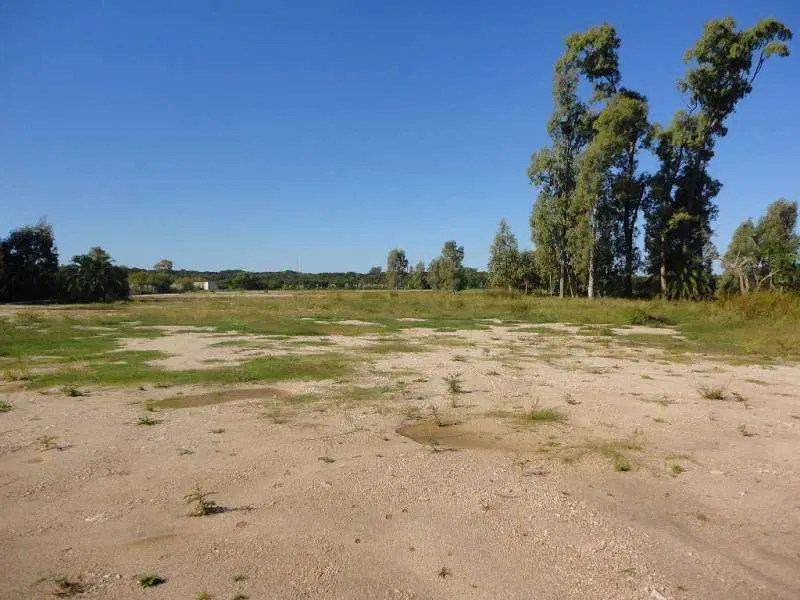 Real de San Carlos Village & Golf  Lote 36 4