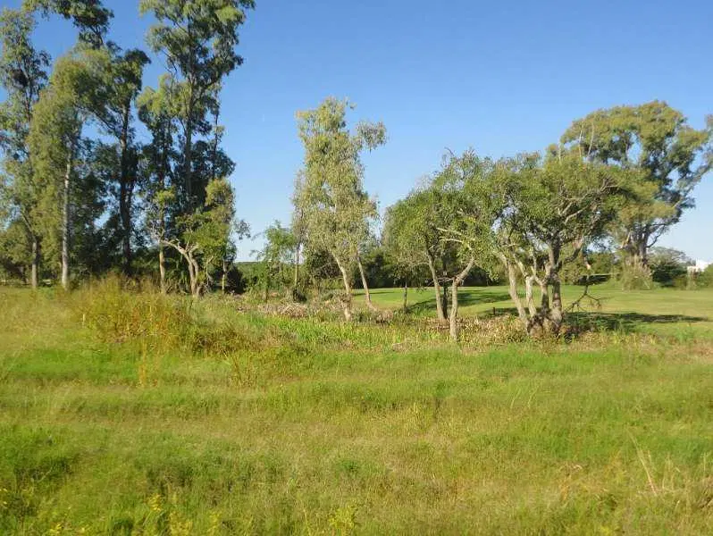Real de San Carlos Village & Golf  Lote 36 3