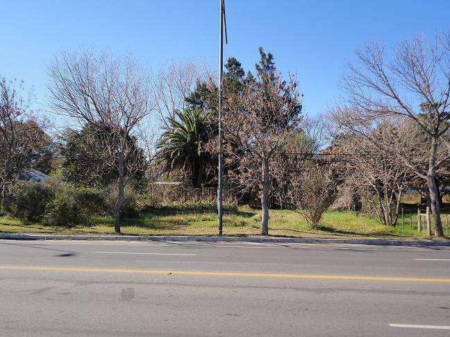 Foto de Rambla Costanera, imagen 4