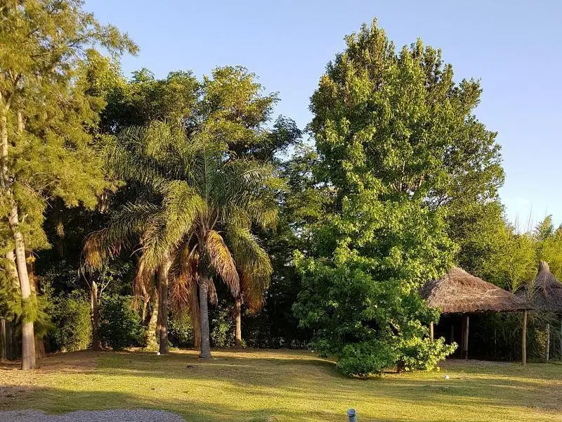 Casa en venta - Real de San Carlos Village - Colonia 3