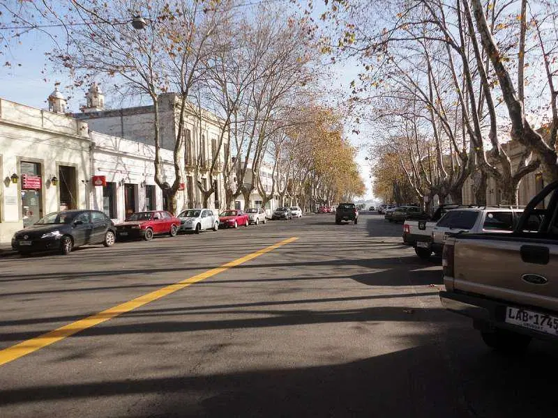 Excepcional Local Comercial de grandes dimensiones sobre Gral Flores(Barrio Historico) 1