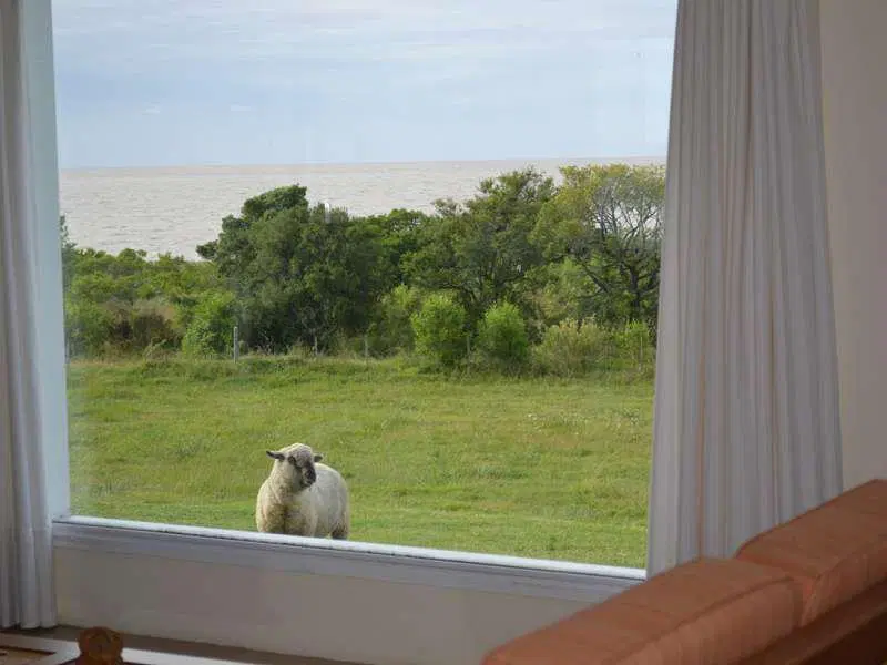 Campo Agrícola Casa - Rio de la Plata - 5