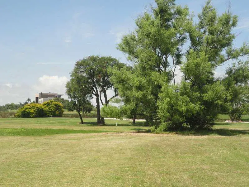 Real de San Carlos Village & Golf Lote 17 2