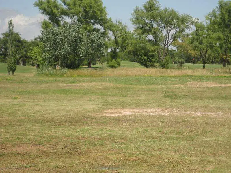 Real de San Carlos Village & Golf Lote 17 4