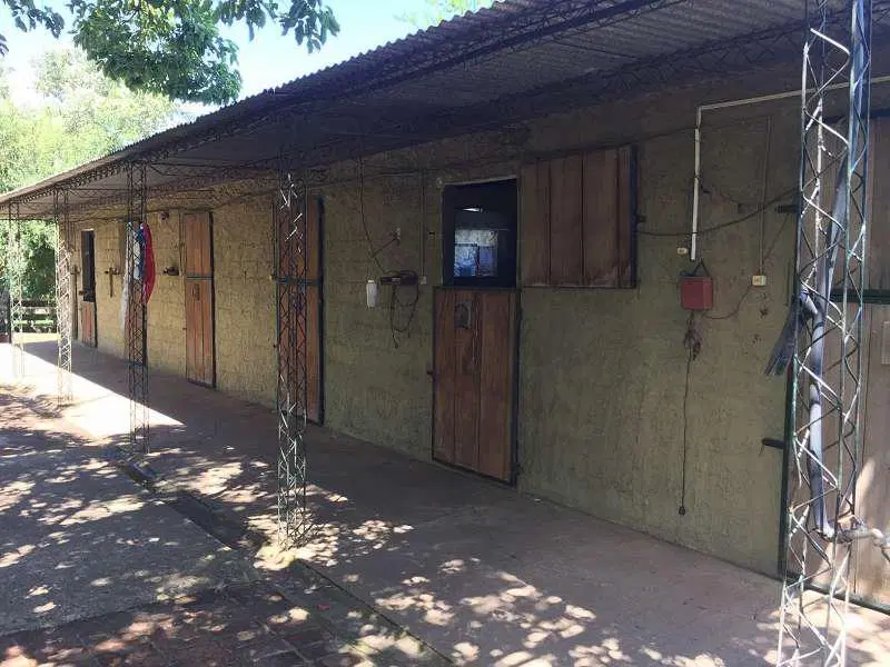 Campo 24 ha con casa principal y mejoras | Ruta 97 | Zona Nueva Palmira 5