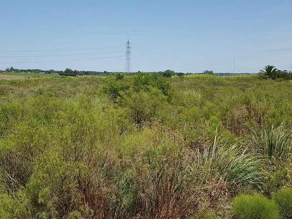 Ruta 1 Km 16 5